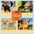 Pet Planet Granulés mâchables pour calmer les animaux de compagnie