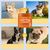 Pet Planet Granulés mâchables pour calmer les animaux de compagnie