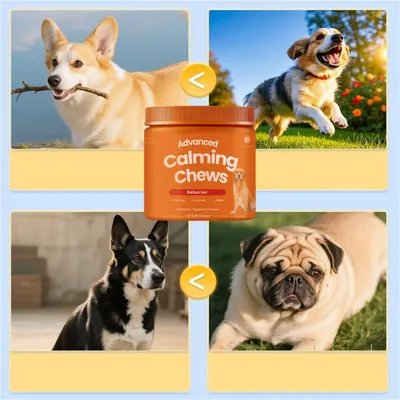 Pet Planet Granulés mâchables pour calmer les animaux de compagnie