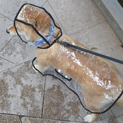 ZenPets Transparent Nylon Waterproof Coat Pour Chiens et Chats