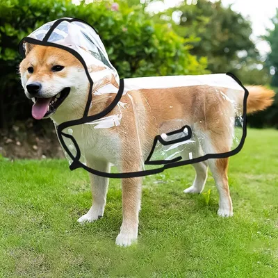 ZenPets Transparent Nylon Waterproof Coat Pour Chiens et Chats