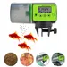 FurryFusion Automatischer Futterautomat für Aquarien