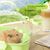 FurryFusion Cage de transport portable pour petits animaux