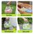 FurryFusion Cage de transport portable pour petits animaux