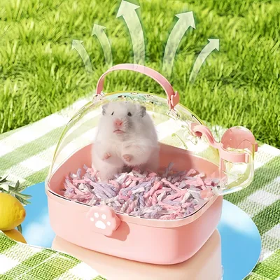 FurryFusion Cage de transport portable pour petits animaux