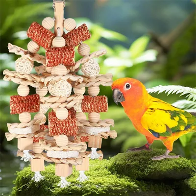 IntiMeg Jouet en bois pour oiseaux
