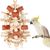 IntiMeg Jouet en bois pour oiseaux
