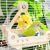 FurryFusion Jouet pour perroquet en forme de bateau pirate