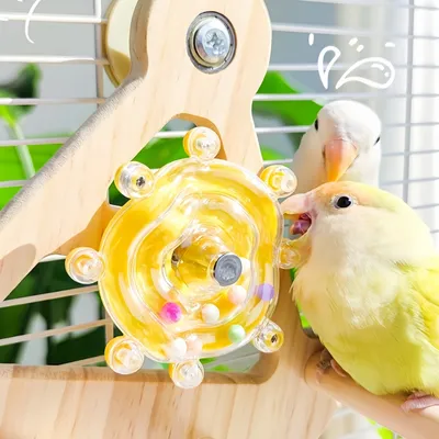 FurryFusion Jouet pour perroquet en forme de bateau pirate