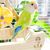 FurryFusion Jouet pour perroquet en forme de bateau pirate