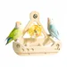 FurryFusion Jouet pour perroquet en forme de bateau pirate