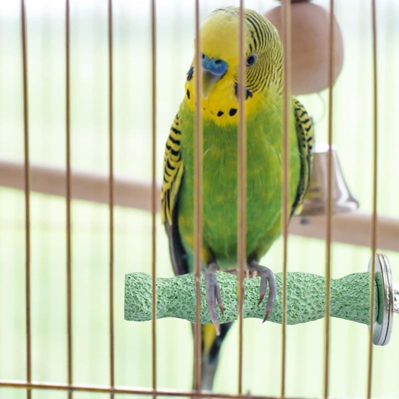 ZenPets Pierre de meulage molaire en résine pour perroquet