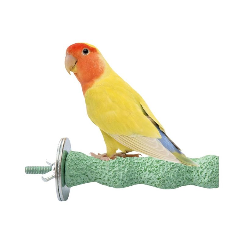 ZenPets Pierre de meulage molaire en résine pour perroquet