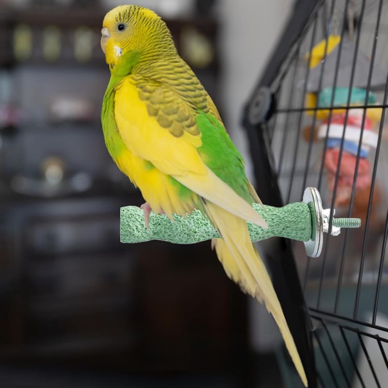 ZenPets Pierre de meulage molaire en résine pour perroquet