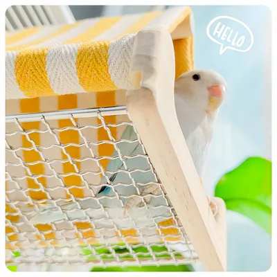 FurryFusion Maison-tente pour perroquet