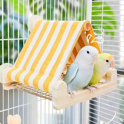 FurryFusion Maison-tente pour perroquet