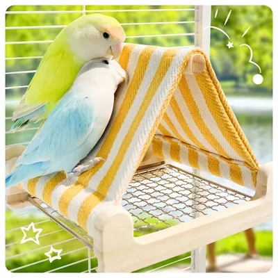 FurryFusion Maison-tente pour perroquet