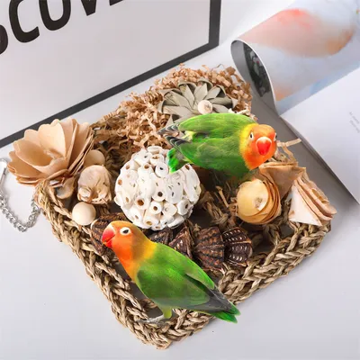 IntiMeg Jouet pour perroquet filet de grimpade