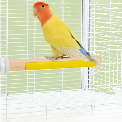 ZenPets Pôle de perche d'oiseau multifonctionnel