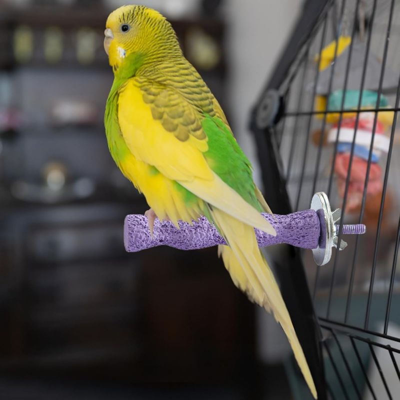 ZenPets Pierre de meulage molaire en résine pour perroquet