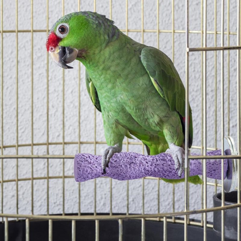 ZenPets Pierre de meulage molaire en résine pour perroquet