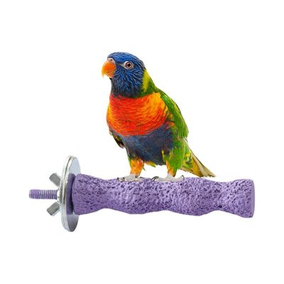 ZenPets Pierre de meulage molaire en résine pour perroquet