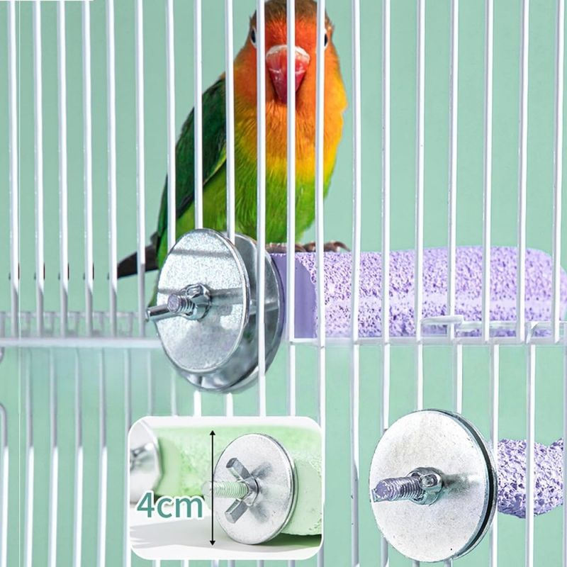 ZenPets Pierre de meulage molaire en résine pour perroquet