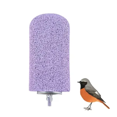 ZenPets Pierre de meulage molaire en résine pour perroquet