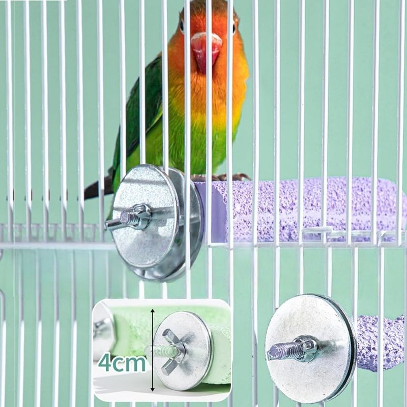 ZenPets Pierre de meulage molaire en résine pour perroquet