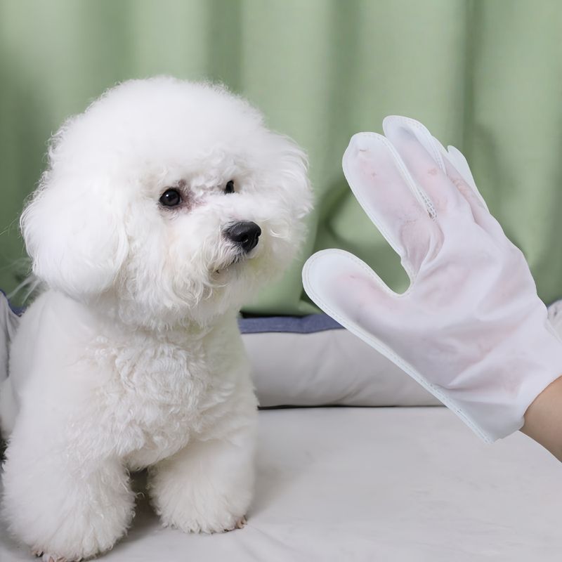 FurryFusion lingettes nettoyantes pour animaux domestiques gants