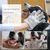 FurryFusion lingettes nettoyantes pour animaux domestiques gants