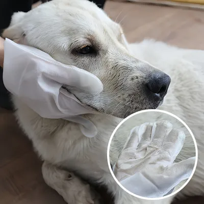 FurryFusion lingettes nettoyantes pour animaux domestiques gants