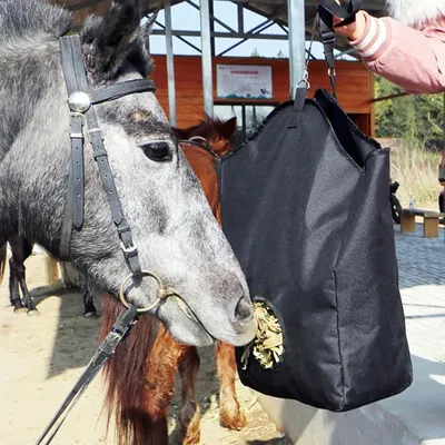 ZenPets Sac à foin