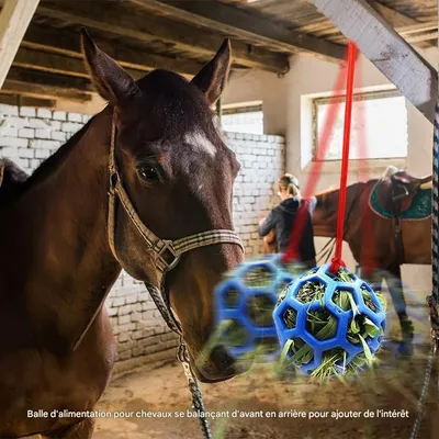 ZooVenture Balle Friandise Pour Cheval Chèvre Et Mouton