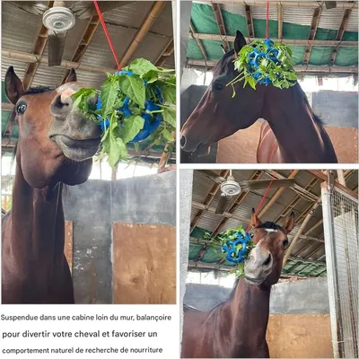 ZooVenture Balle Friandise Pour Cheval Chèvre Et Mouton