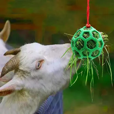 ZooVenture Balle Friandise 3 Pièces Pour Cheval Chèvre Mouton