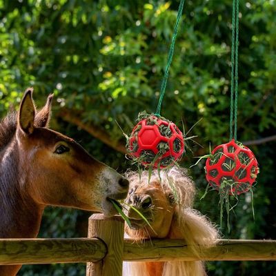 ZooVenture Balle Friandise 3 Pièces Pour Cheval Chèvre Mouton