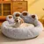 Pet Planet Lit Pour Chiots Et Chats De Petite Et Moyenne Taille Pet Planet Lit Pour Chiots Et Chats De Petite Et Moyenne Taille
