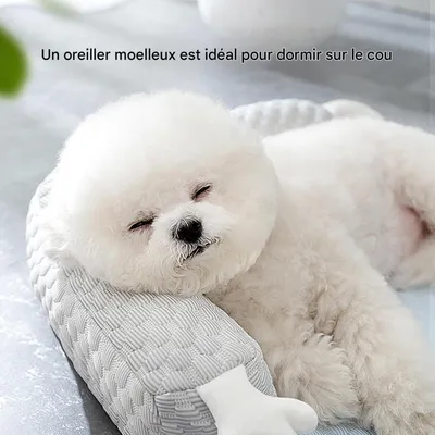 Pet Planet Nid et Tapis Rafraîchissant Respirant et Lavable Pour Chien