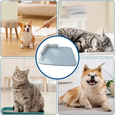 Pet Planet Nid et Tapis Rafraîchissant Respirant et Lavable Pour Chien