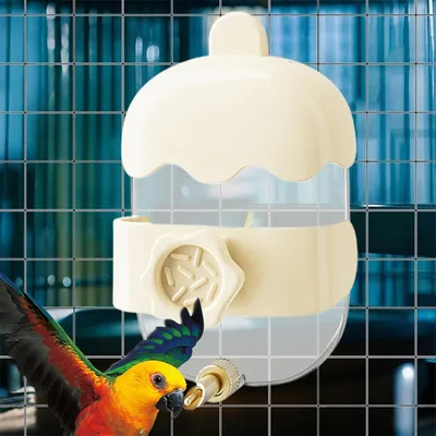 ZenPets Bouteille d'eau pour oiseaux et petits animaux