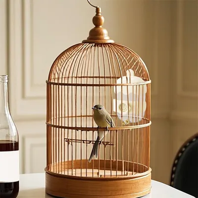 ZenPets Bouteille d'eau pour oiseaux et petits animaux