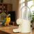 ZenPets Mangeoire à eau pour oiseaux