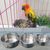 IntiMeg Bol d'alimentation et d'eau pour perroquet