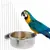 IntiMeg Bol d'alimentation et d'eau pour perroquet