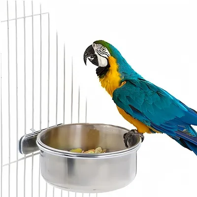 IntiMeg Bol d'alimentation et d'eau pour perroquet