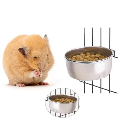 IntiMeg Bol d'alimentation et d'eau pour perroquet