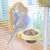 ZenPets Gamelle pour perruches