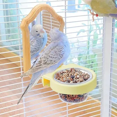 ZenPets Gamelle pour perruches