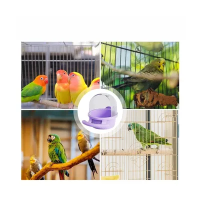 ZenPets Mangeoire à oiseaux pour cage